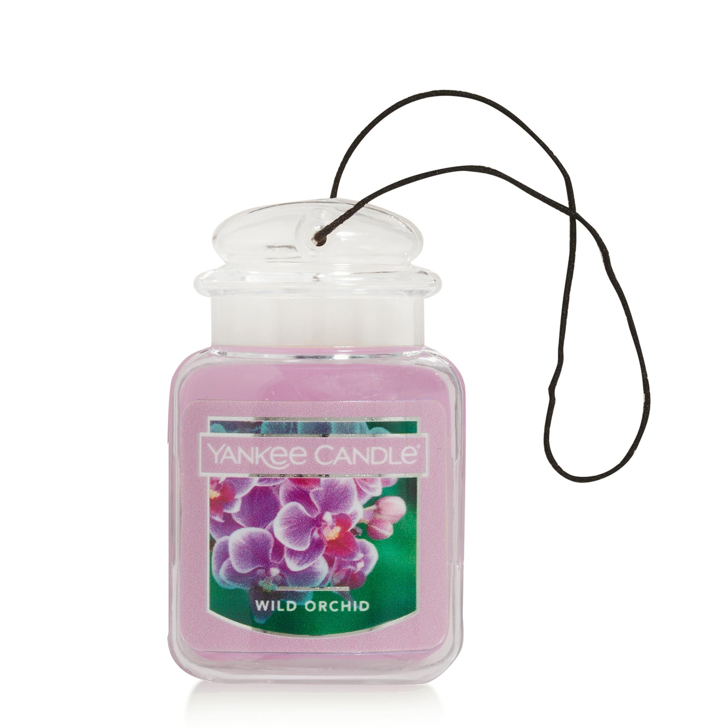 Wild Orchid ZWJM