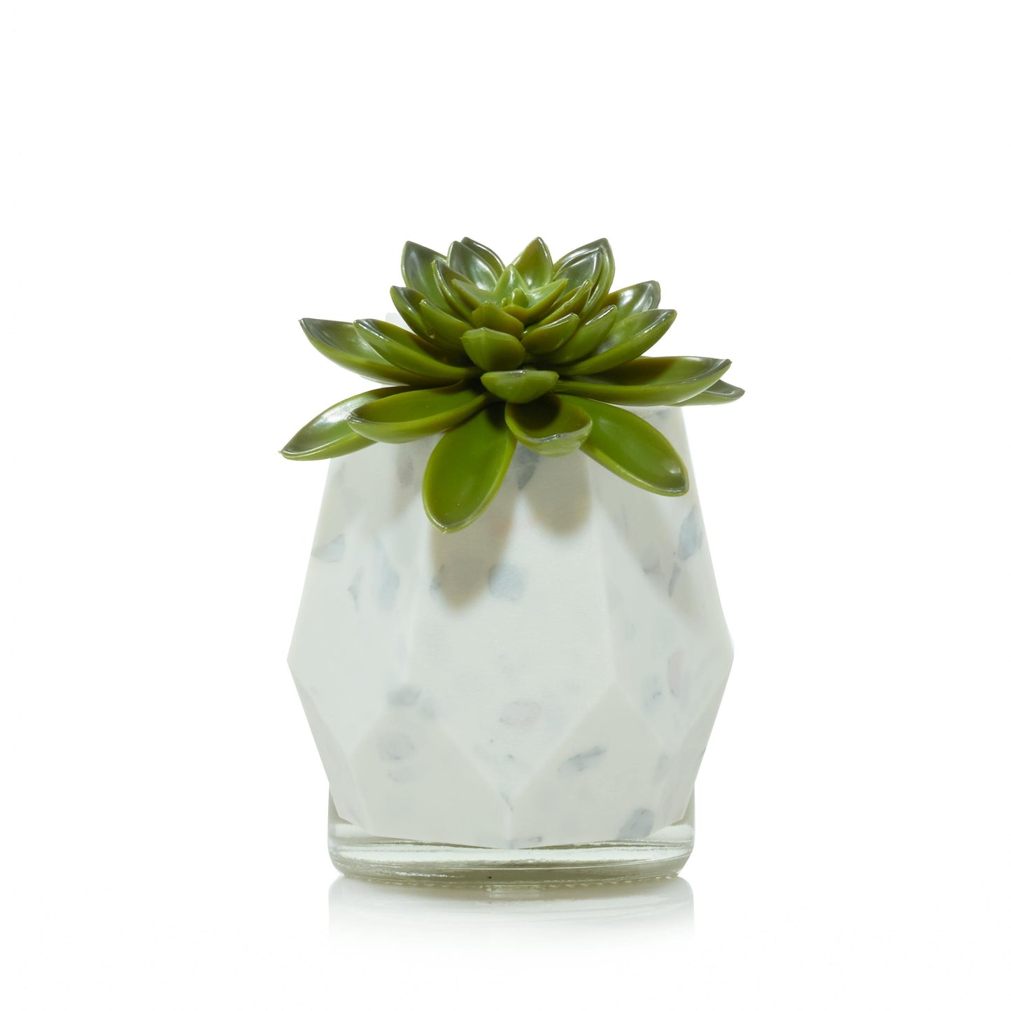 Faceted Succulent ScentPlug® Diffuser with Light F49F