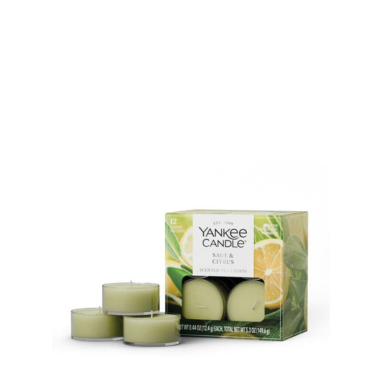 Sage & Citrus 9T9W