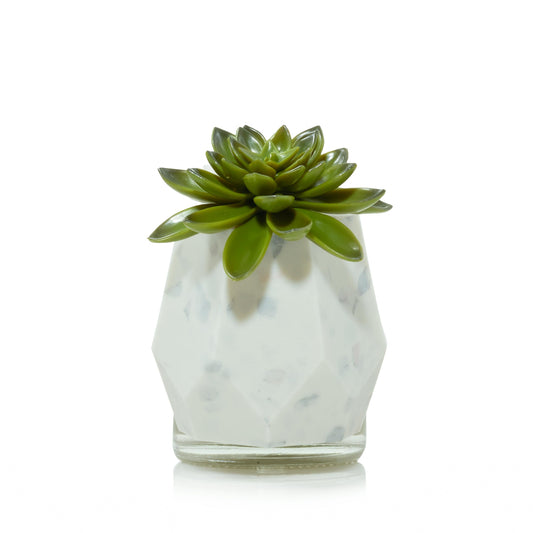 Faceted Succulent ScentPlug® Diffuser with Light F49F